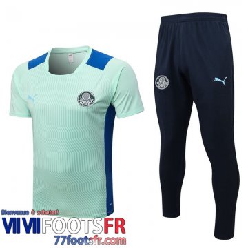 Polo foot Palmeiras vert Homme 22 23 PL605