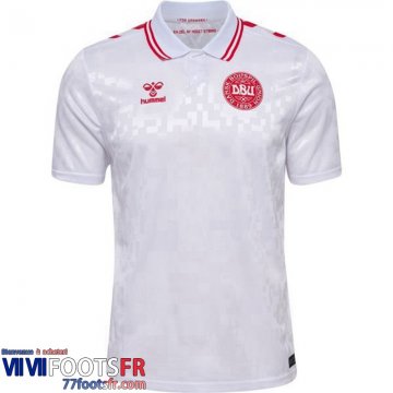 Maillot De Foot Denmark Exterieur Homme 2024