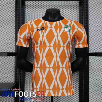 Maillot de Foot Ivory Coast Special Edition Homme 2023 TBB213