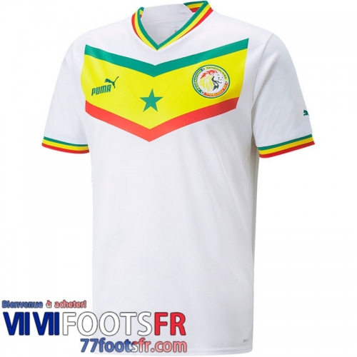 Maillot De Foot Senegal Exterieur Homme World Cup 2022