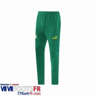 Pantalon Foot Senegal vert Homme 2022 2023 P223