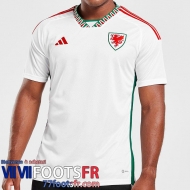 Maillot De Foot Pays de Galles Exterieur Homme World Cup 2022