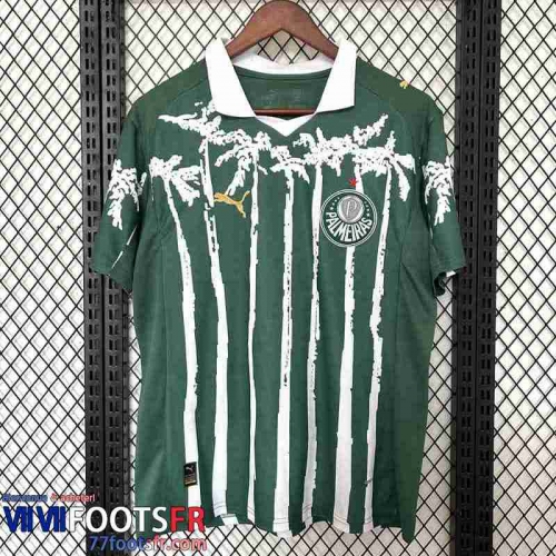 Maillot De Foot Palmeiras Special Edition Homme 25 26 TBB774