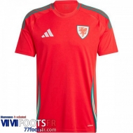 Maillot De Foot Wales Domicile Homme 2024