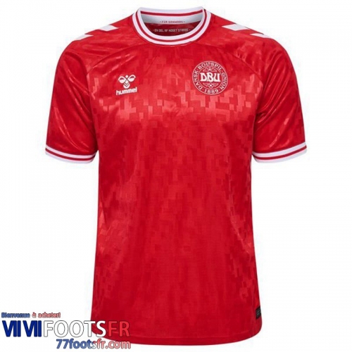 Maillot De Foot Denmark Domicile Homme 2024