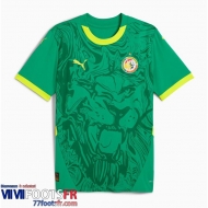 Maillot De Foot Senegal Exterieur Homme 2025