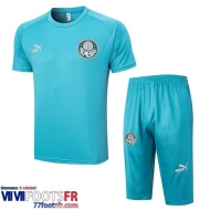 Polo foot Palmeiras bleu ciel Homme 2023 2024 PL684