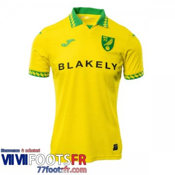 Maillot De Foot Norwich City Domicile Homme 25 26