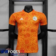 Maillot de Foot Algerie Special Edition Homme 2023 TBB212