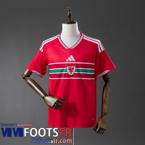 Maillot De Foot Wales Domicile Homme 2026