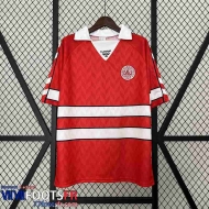 Retro Maillot De Foot Denmark Domicile Homme 1988 FG526