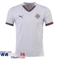 Maillot De Foot Iceland Exterieur Homme 2024