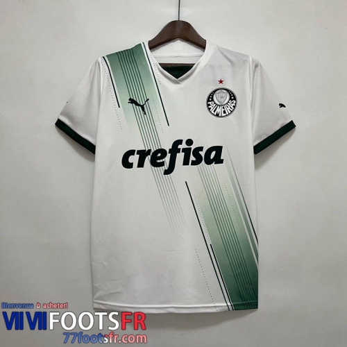 Maillot De Foot Palmeiras Exterieur Homme 2023 2024