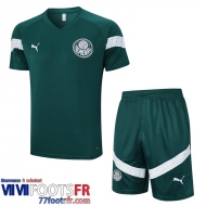 Survetement T Shirt Palmeiras vert Homme 2023 2024 TG873