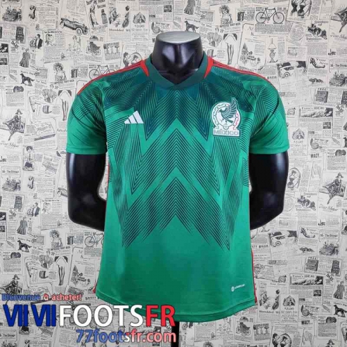 Maillot De Foot World Cup Mexique Domicile Homme 2022 AG88