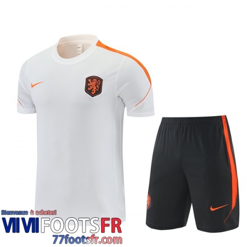 T Shirt The Tangerines Homme 26 27 H980 T Shirt The Tangerines Homme 26 27 H980