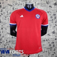 Maillot De Foot World Cup Chile Domicile Homme 2022 AG85