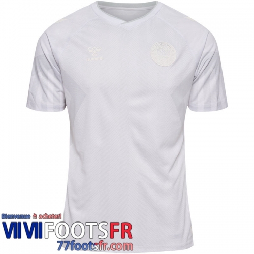 Maillot De Foot Danemark Exterieur Homme World Cup 2022