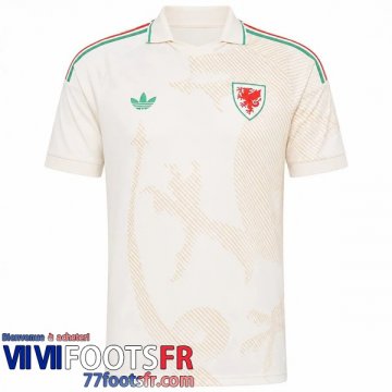 Maillot De Foot Wales Exterieur Homme 2026