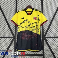 Maillot de Foot Colombie Special Edition Homme 2023 TBB232