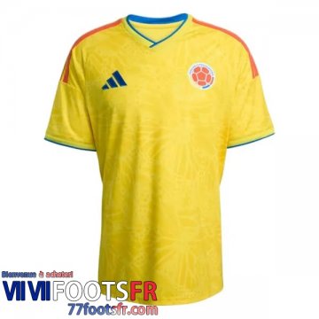 Maillot De Foot Colombie Domicile Homme 2026 World Cup