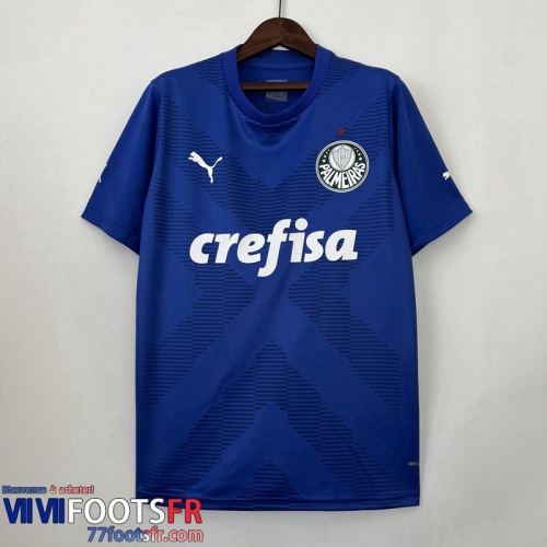 Maillot De Foot Palmeiras Gardiens De But Homme 2023 2024