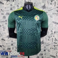 Maillot De Foot Senegal Vert Homme AG04