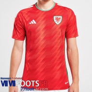 Maillot De Foot Pays de Galles Domicile Homme World Cup 2022