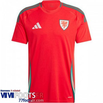 Maillot De Foot Wales Domicile Homme 2024