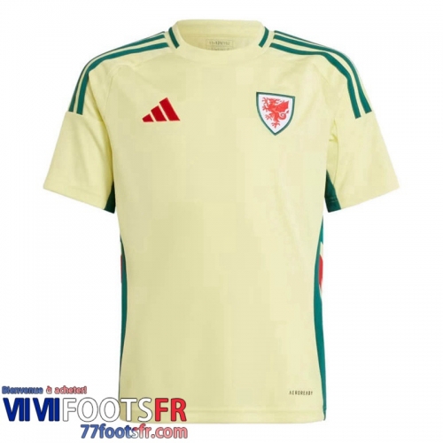 Maillot De Foot Wales Exterieur Homme 2024