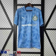 Maillot De Foot Palmeiras Gardiens De But Homme 25 26