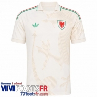Maillot De Foot Wales Exterieur Homme 2026