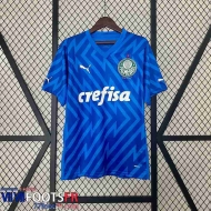 Maillot De Foot Palmeiras Goalkeeper Homme 24 25 TBB363