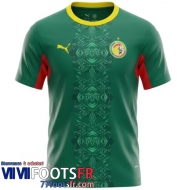 Maillot De Foot Senegal Exterieur Homme 2026 World Cup