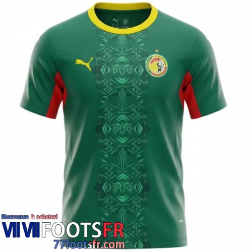 Maillot De Foot Senegal Exterieur Homme 2026 World Cup