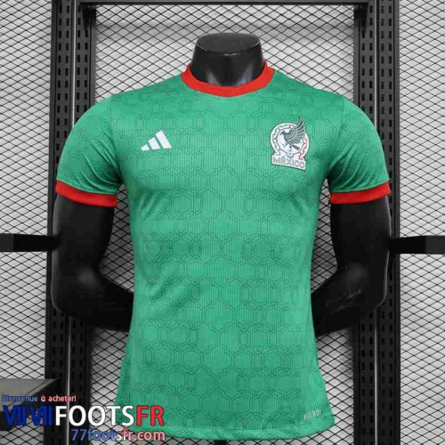 Maillot de Foot Mexique Special Edition Homme 2023 TBB265