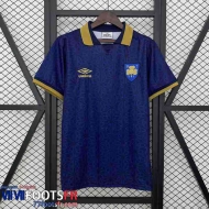 Maillot De Foot Ireland Exterieur Homme 25 26 TBB771