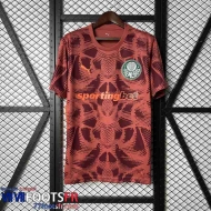 Maillot De Foot Palmeiras Gardiens De But Homme 25 26