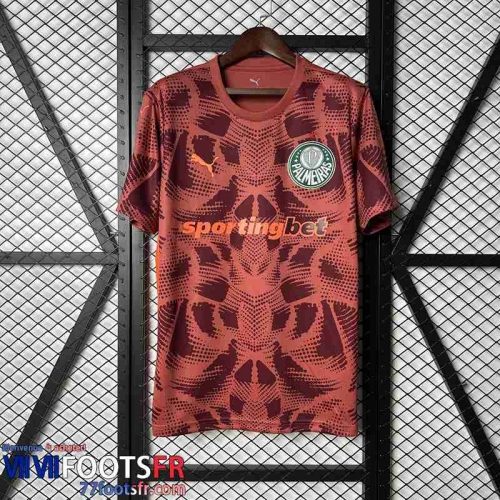 Maillot De Foot Palmeiras Gardiens De But Homme 25 26