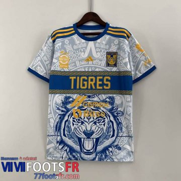 Maillot de Foot Tigers Special Edition Homme 2023 2024 TBB185